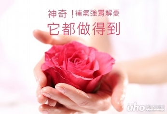 神奇!這種花能補氣強胃還能解憂鬱