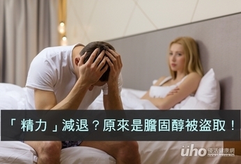「精力」減退 原來膽固醇被盜取了!