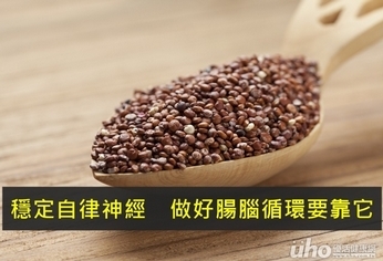 穩定自律神經 做好腸腦循環要靠它