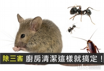 除三害 廚房清潔只要這樣就搞定!
