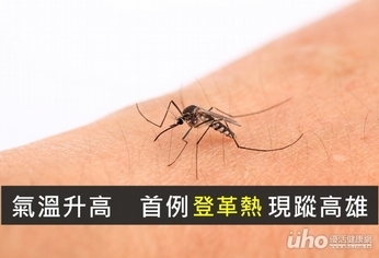 氣溫升高 首例登革熱現蹤高雄