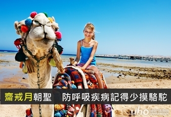 齋戒月朝聖 防呼吸疾病記得少摸駱駝