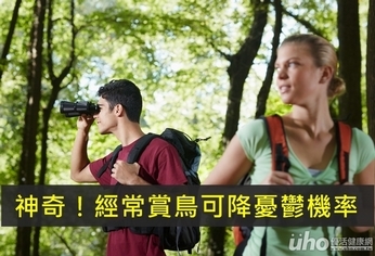 神奇!經常賞鳥可降憂鬱機率