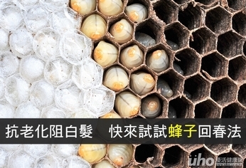 抗老化阻白髮 蜂子回春法一定要知道