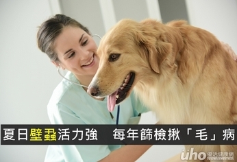 夏日壁蝨活力強 每年篩檢揪「毛」病