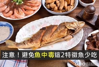 注意!避免魚中毒這2特徵魚少吃