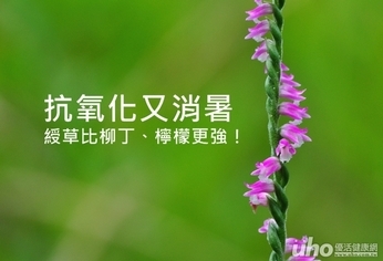 抗氧化又消暑 綬草比柳丁、檸檬更強!