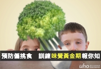 預防偏挑食 訓練味覺黃金期報你知