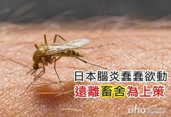 日本腦炎蠢蠢欲動 遠離畜舍為上策