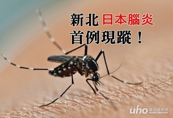 肢體抽動就醫 新北日本腦炎首例現蹤!