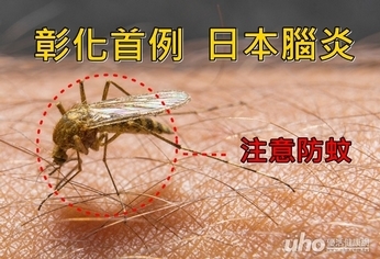 注意防蚊!彰化首例日本腦炎現蹤