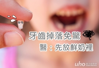 牙齒掉落免驚 醫:先放鮮奶裡