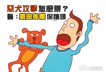 惡犬攻擊怎麼辦?醫:蜷曲身體保護頭
