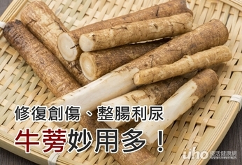 修復創傷、整腸利尿 牛蒡妙用多!