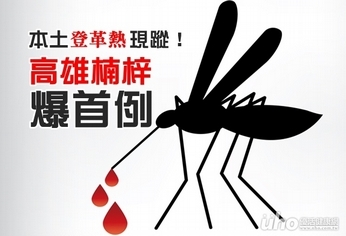 本土登革熱現蹤!高雄楠梓爆首例