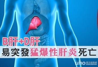 B肝+D肝 易突發猛爆性肝炎死亡