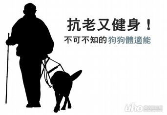 抗老又健身!您不可不知的狗狗體適能