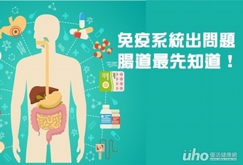 免疫系統出問題 腸道最先知道!