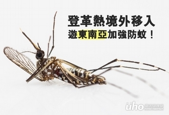 登革熱境外移入 遊東南亞加強防蚊!