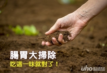 腸胃大掃除 吃這一味就對了!
