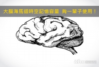 大腦海馬迴「時空記憶容量」夠一輩子使用!