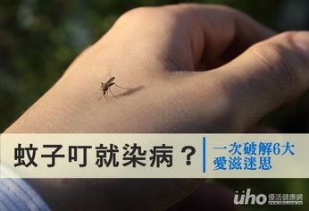 蚊子叮就染病?一次破解6大愛滋迷思