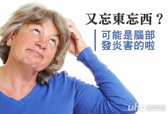 又忘東忘西?腦部發炎害的啦!