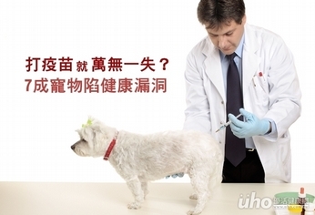打疫苗萬無一失?7成寵物陷健康漏洞