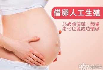 借卵人工生殖　卵巢老化也能成功懷孕