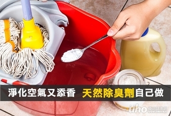 淨化空氣又添香 天然除臭劑自己做