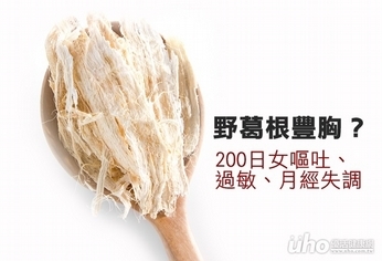 野葛根豐胸?200日女嘔吐過敏