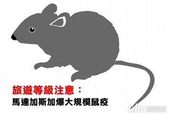 旅遊等級注意:馬達加斯加爆大規模鼠疫