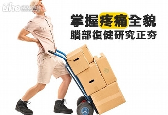 掌握疼痛全貌 腦部復健研究正夯