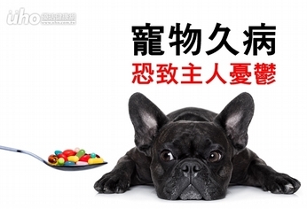 研究:寵物久病恐致主人憂鬱