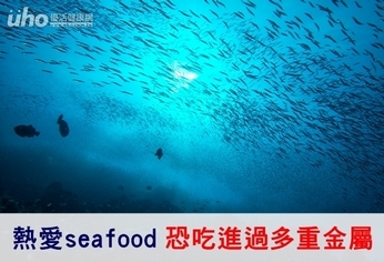 熱愛seafood 恐吃進過多重金屬