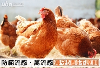 防範流感、禽流感 遵守5要6不原則