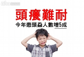 頭癢難耐 今年患頭蝨人數增5成!