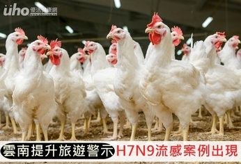 雲南提升旅遊警示!H7N9流感案例出現