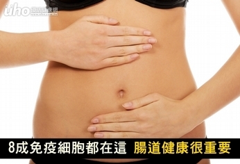 8成免疫細胞都在這!腸道健康很重要