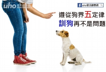 遵從狗界五定律 訓狗再不是問題