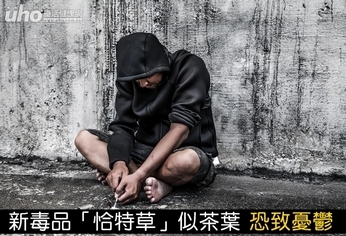 新毒品「恰特草」似茶葉 恐致憂鬱