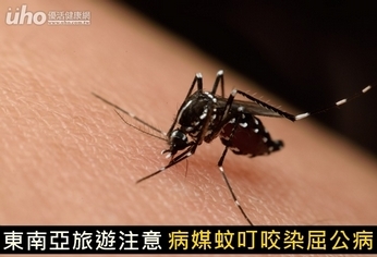 東南亞旅遊注意!病媒蚊叮咬染屈公病