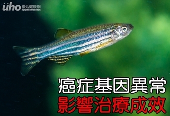 癌症基因異常 影響治療成效