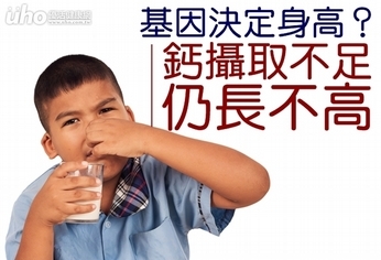 基因決定身高?鈣攝取不足仍長不高