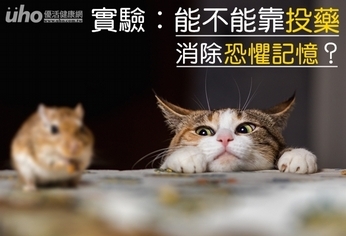 實驗:能不能靠投藥消除恐懼記憶?