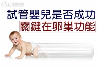 試管嬰兒是否成功 關鍵在卵巢功能