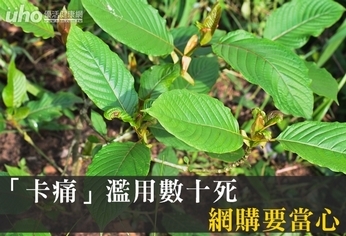 「卡痛」濫用數十死 網購要當心
