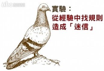 實驗:從經驗中找規則 造成「迷信」