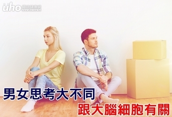男女思考大不同 跟大腦細胞有關!