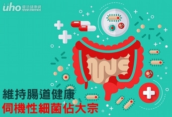 維持腸道健康 「伺機性細菌」佔大宗